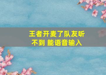 王者开麦了队友听不到 能语音输入